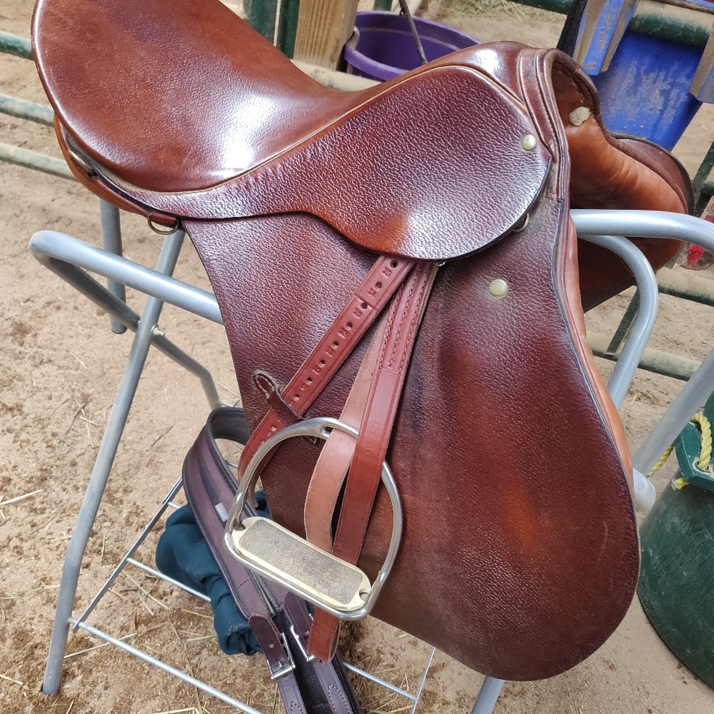 Beautiful chestnut all purpose Stubben 17"